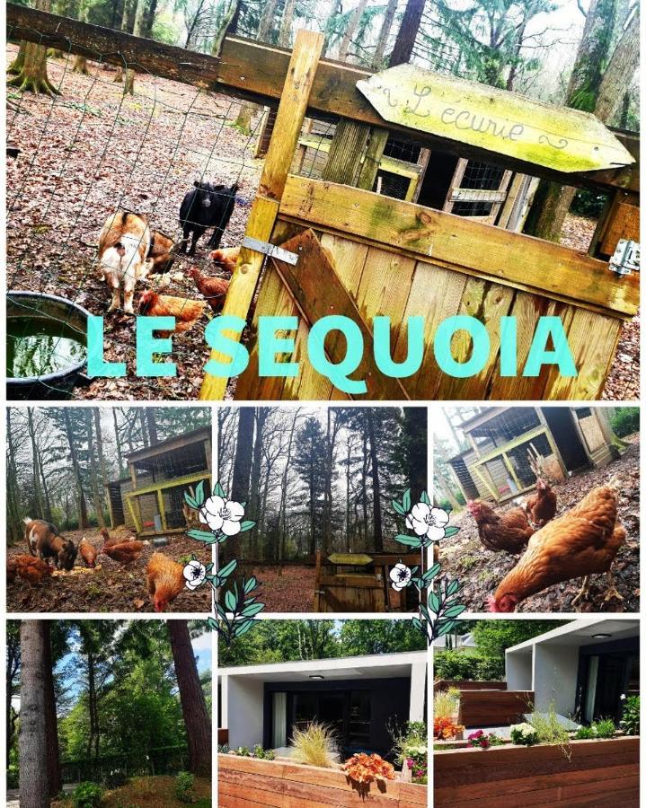 Le Sequoia Saint-Sébastien-sur-Loire Exterior foto